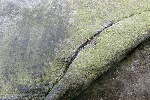 images/RockDetail.jpg