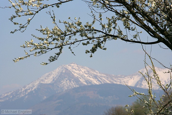 images/springmaramures_std.jpg